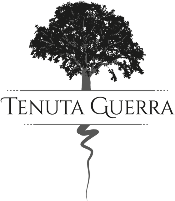 Tenuta Guerra