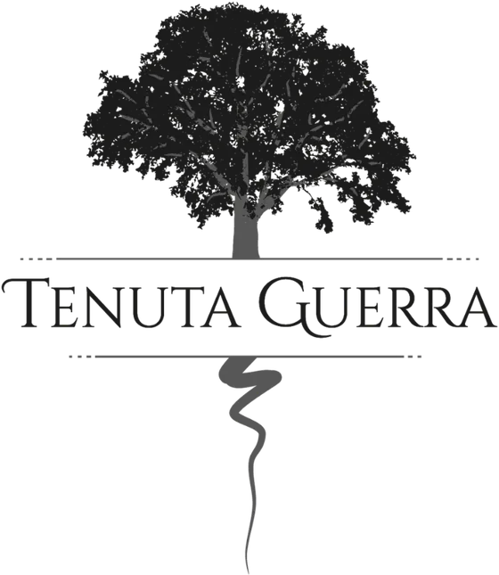 Tenuta Guerra